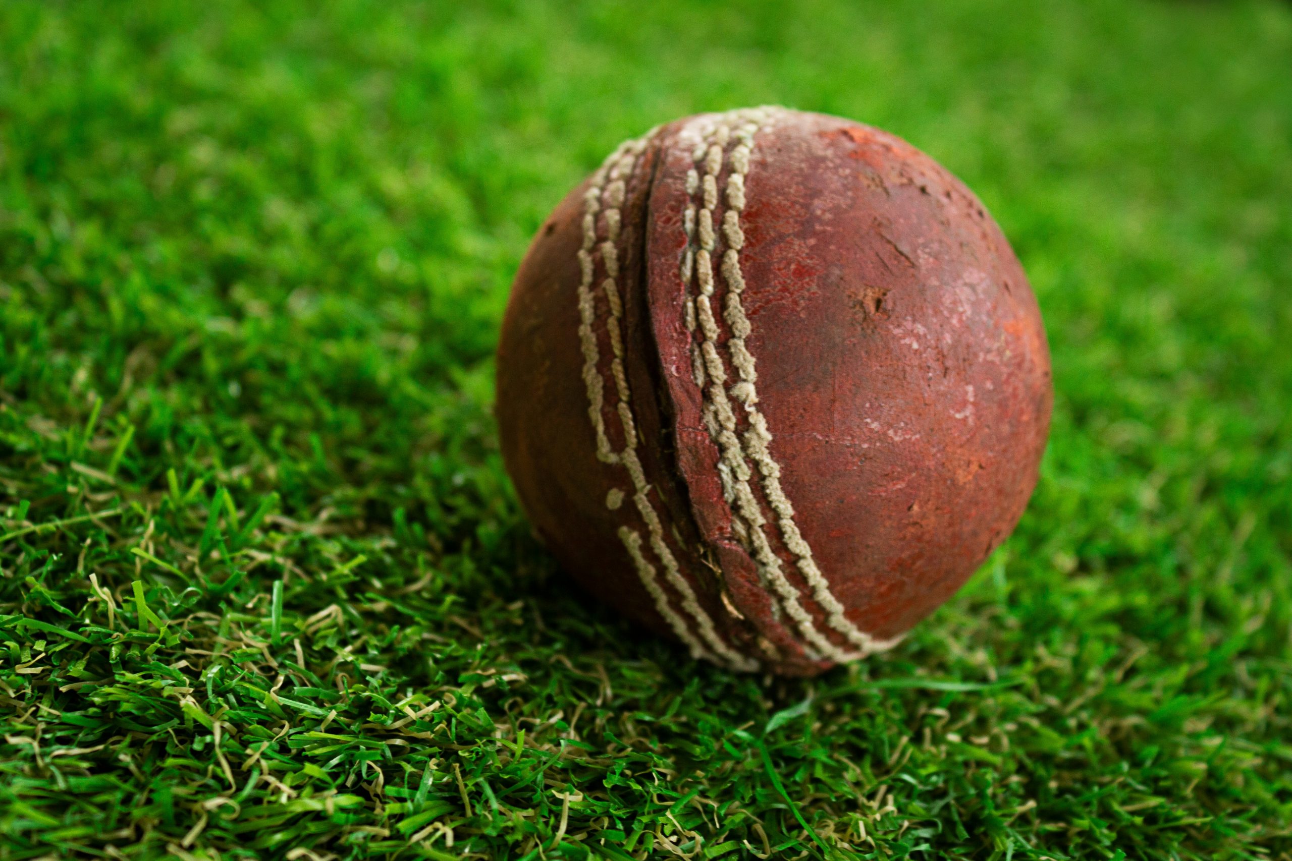 Experience the Thrill of Fantasy Cricket with Grayson Sport